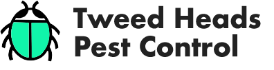 Tweed Heads Pest Control